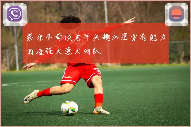 泰尔齐奇谈意甲兴趣加图索有能力打造强大意大利队